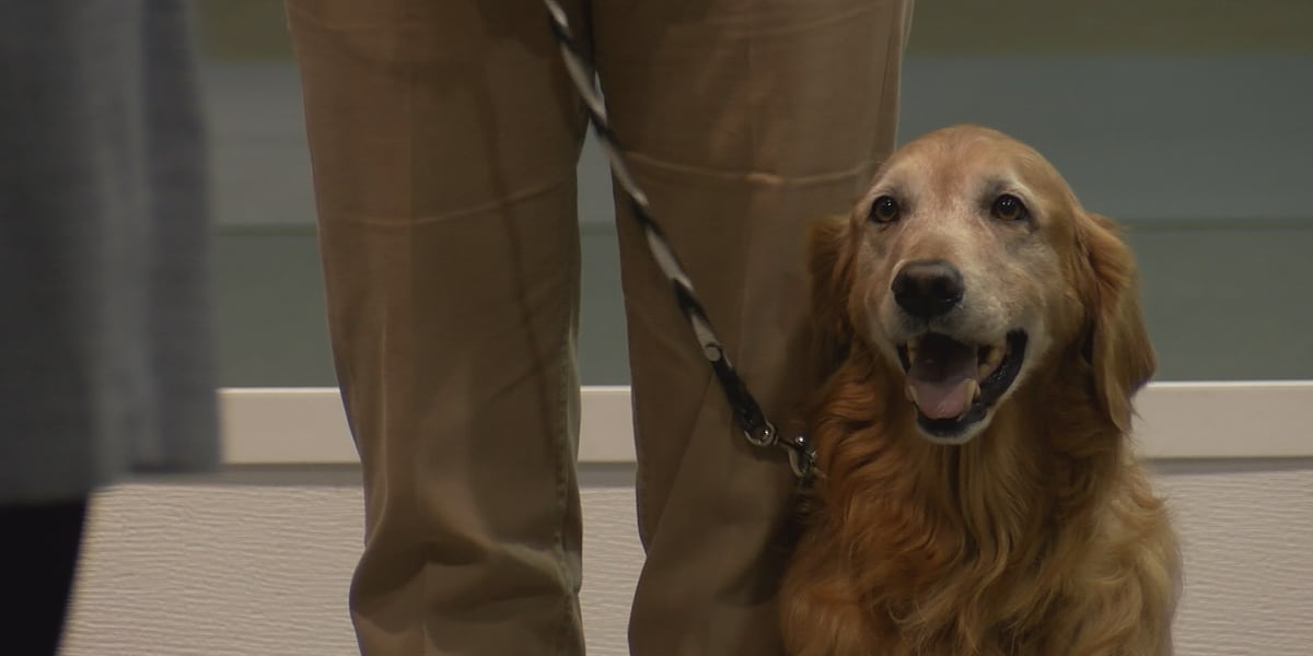 Panhandle Kennel Club of Texas to host dog show in Amarillo this week