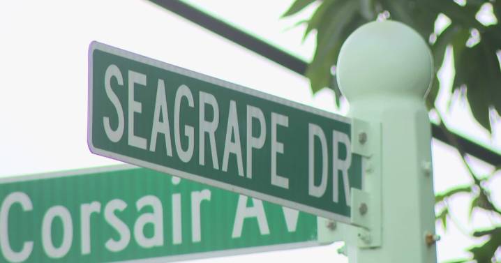 Lauderdale-by-the-Sea to weigh adding Trump's name to street sign
