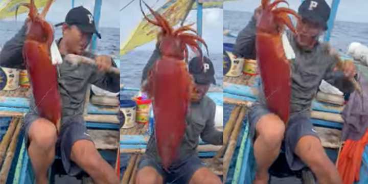 Fisherman gets face full of squid ink as he hauls in his prize