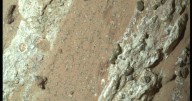 Life on Mars? NASA says a rock sample shows potential signs of ancient life