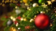 Search underway for Milwaukee's 112th City Christmas tree to light up the Deer District 🎄