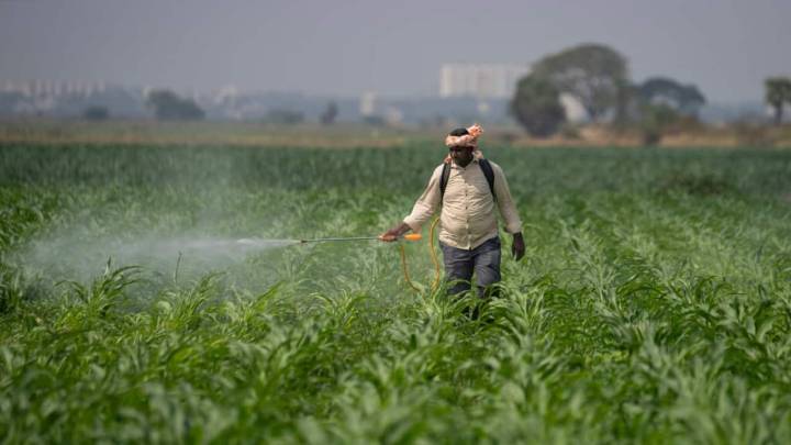 Advance Agrolife raises Rs 57.76 crore via anchor book ahead of IPO