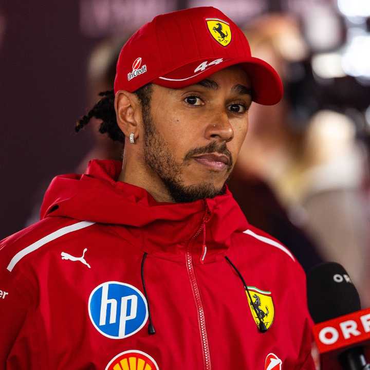 Lewis Hamilton’s Dog in a Coma, May Not Wake Up