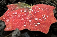 Astro Bob: Planet seasons and the start of fall