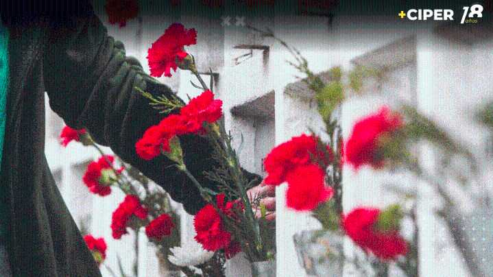 En el último año se han realizado diligencias en cementerios de ocho regiones para la búsqueda de detenidos desaparecidos