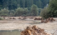 East Fork Lewis River project’s first phase nears completion, reestablishing side channels and restoring 300 acres of floodplain Updated 8 mins ago