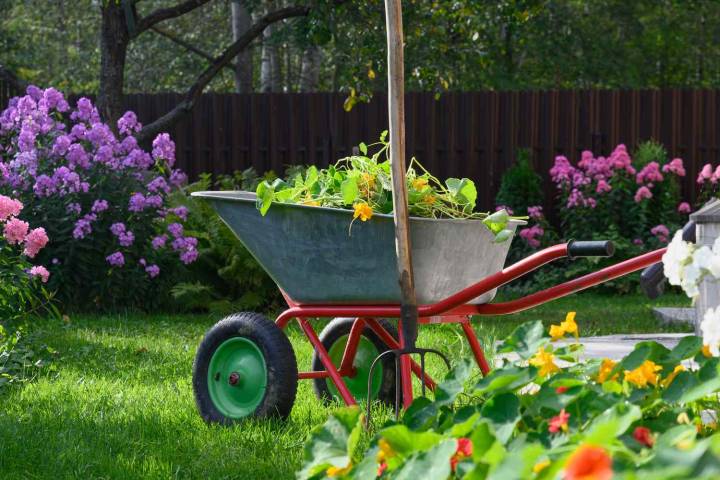 3 Things You Should Do in September to Keep Your Garden Pest