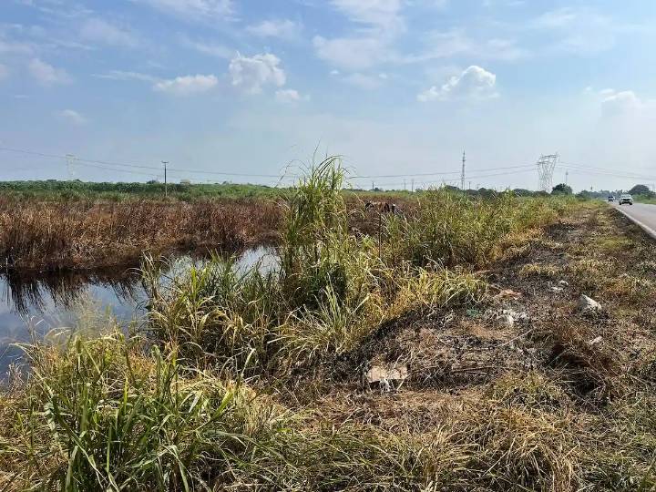 Pemex atiende derrame de amoniaco; revisa ducto de complejos Cosoleacaque y Pajaritos