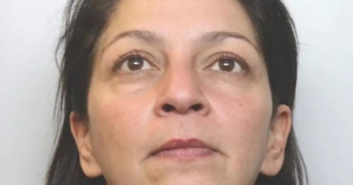Mum killed son's dog with Samurai sword then told police it attacked her