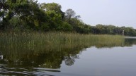 Boater found dead on Lake Harris, sparking investigation
