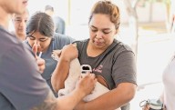 Ya tienen microchip 3 mil 500 mascotas