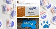 Acusan a mujer en EEUU por registrar a su perra para votar