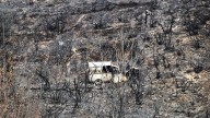 El reto de recuperar los ecosistemas dañados por los incendios: "Los bosques pueden tardar 40 o 50 años"
