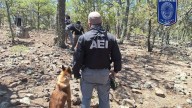 Identifican dos cuerpos masculinos localizados en fosas de “El Willy”; tenían reporte de desaparición del 2022