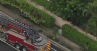 Storms knock down power line in Hollywood, affecting traffic