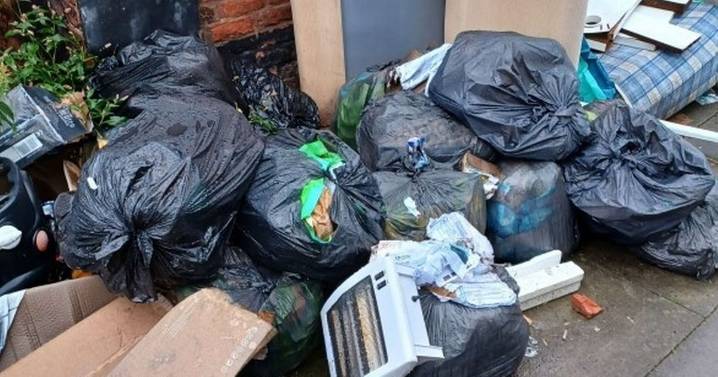 She dumped this rubbish in an alleyway - then found herself in court with thousands to pay