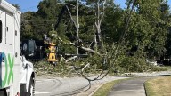 Fallen tree blocks Log Cabin Drive, causing Bibb Sheriff's Office to redirect traffic during morning commute