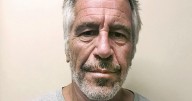 Who else appears to be in the Jeffrey Epstein 50th birthday book?
