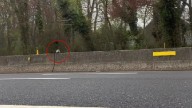 New York Rescuer Rushes Into Traffic To Save A Wild Animal No One Else Would