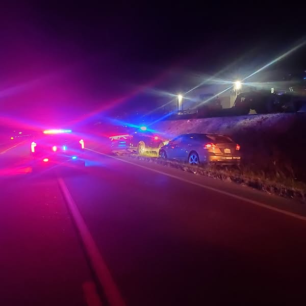 Man arrested after fleeing deputies in Howell County