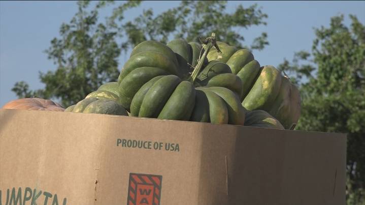 Jenschke Orchards in Fredericksburg, Texas, thrives despite rainfall challenges