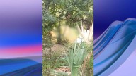 Localizan Hombre Sin Vida en el Cañón del Novillo en Ciudad Victoria