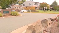Baby dies after Leesburg police say adult brother strangled her