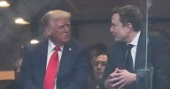Donald Trump and Elon Musk Chatted at Charlie Kirk’s Funeral