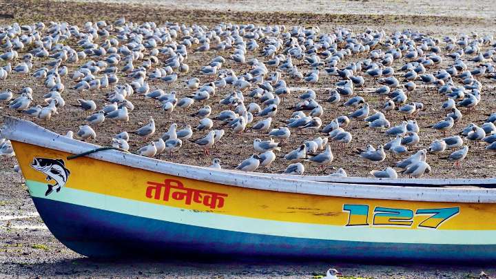 Mumbai Diary: Thursday Dossier