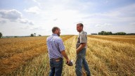 Iowa, Minnesota growers seek to make oats great again