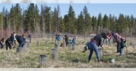 Support restoration efforts at Turnbull National Wildlife Refuge this fall