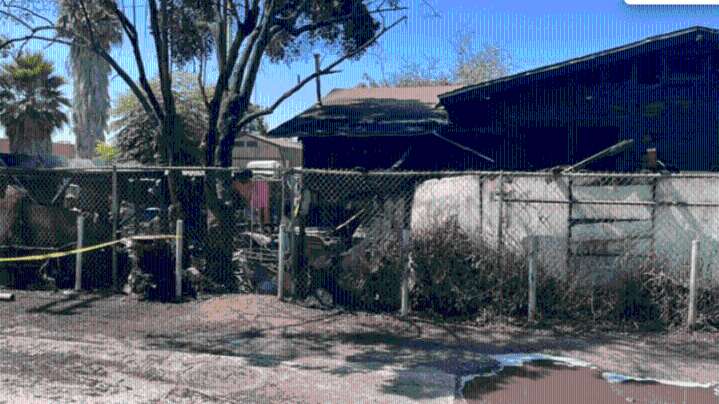 6 cats die in South Bay house fire, family says