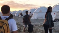 LimeWire buys Fyre Festival, asking 'What Could Possibly Go Wrong?'