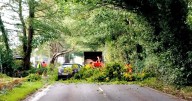 Live: Tree crashes down onto car near Bristol rugby club