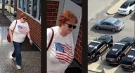 Macomb County Sheriff’s Office seeks help identifying vandal