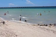 Buscan frenar el paso a la erosión en Progreso: Colocan 720 metros cúbicos de arena proveniente de Sisal