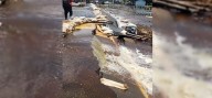 Apure| Gobierno atiende afectaciones del desbordamiento del Caño Payarita