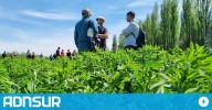 08:40 Créditos de hasta 30 millones para el campo neuquino: requisitos y condiciones