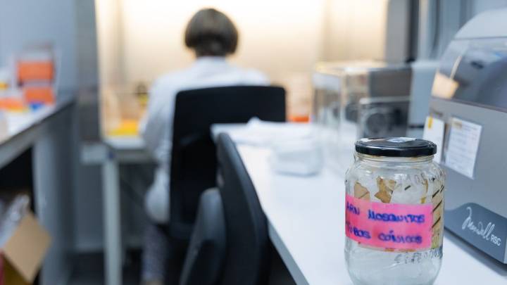Muere un hombre de 77 años por el virus del Nilo Occidental en Don Benito, primera víctima este año en Extremadura