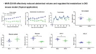 ImmVira Announces First-in-Human Data of Engineered Exosome MVR-EX105 for Fat Reduction and Muscle Preservation by Topical Application at 2025 Annual Congress of the International Federation for the S