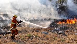 "Incendios forestales en Funes e Imués: autoridades lanzan alerta urgente"