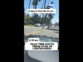 Viral palm tree photo trend stirs up controversy in Beverly Hills