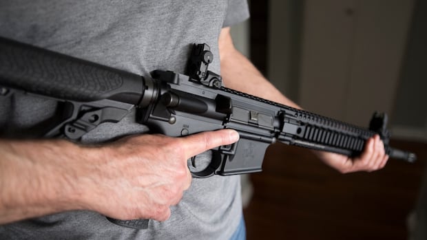 With end to firearm amnesty weeks away, minister says he's not ready to detail extension