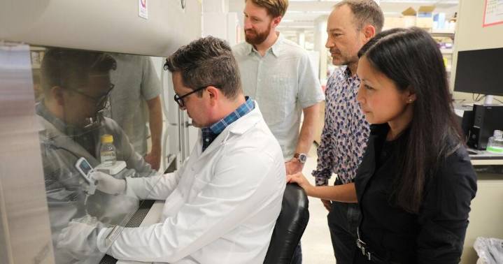 OHSU team to probe cannabis effects on HIV