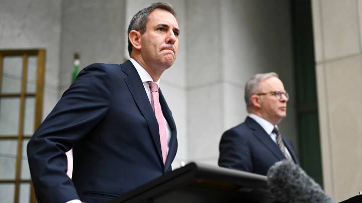 'Could have been avoided': Australia's 'sick' economy continues to dive as Labor's big government strategy leaves private sector growth languishing