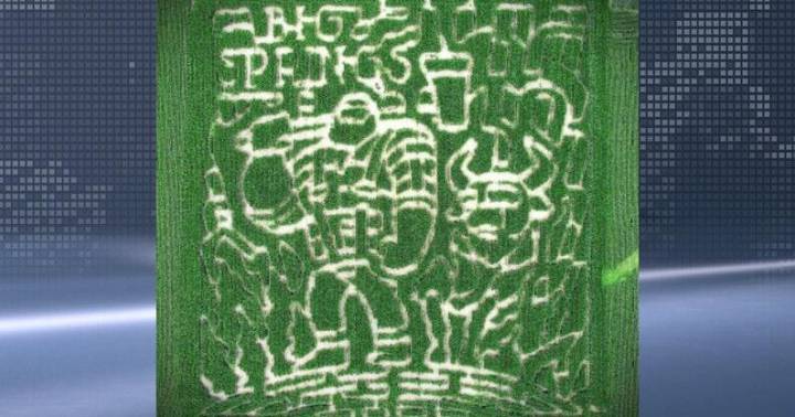 Lanesboro's Big Springs Farm celebrates fall with Paul Bunyan corn maze