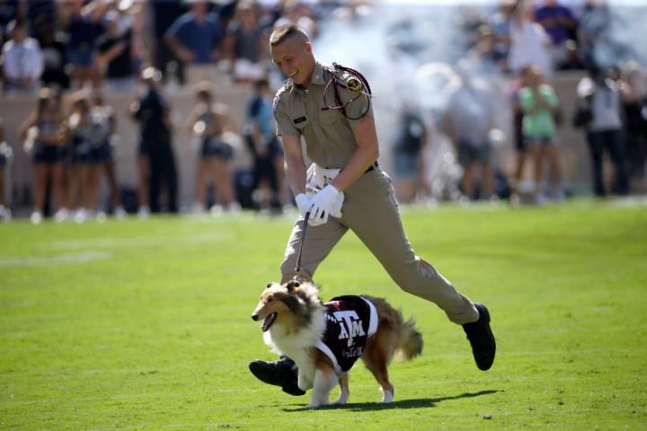 Texas A&M's beloved former mascot, Miss Reveille IX, dies