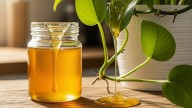 Por qué recomiendan poner miel en las plantas y qué beneficios tiene