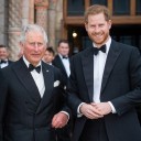 Prince Harry’s Focus is On King Charles After Reunion