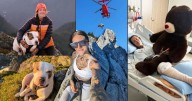 Para rescatar a su perro, excursionista se lanza 18 metros desde un pico canadiense; milagrosamente ambos sobrevivieron